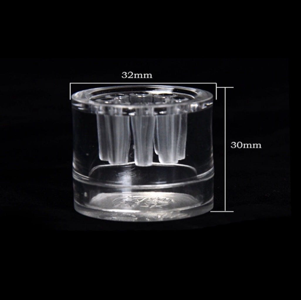 Planaria trap