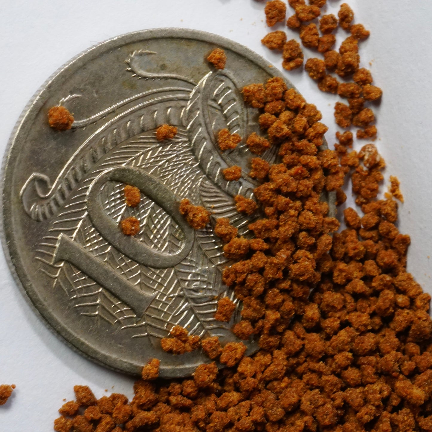 Premium Flare Feed | high protein| colour boost